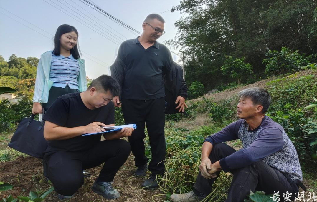 以学促干，推动主题教育见行见效
